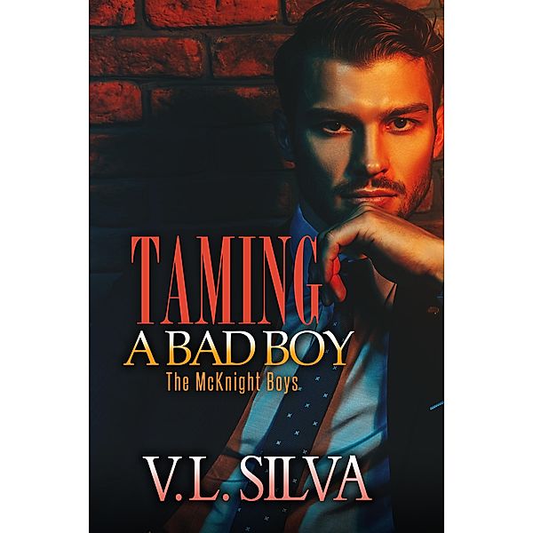 Taming a Bad Boy, V. L. Silva