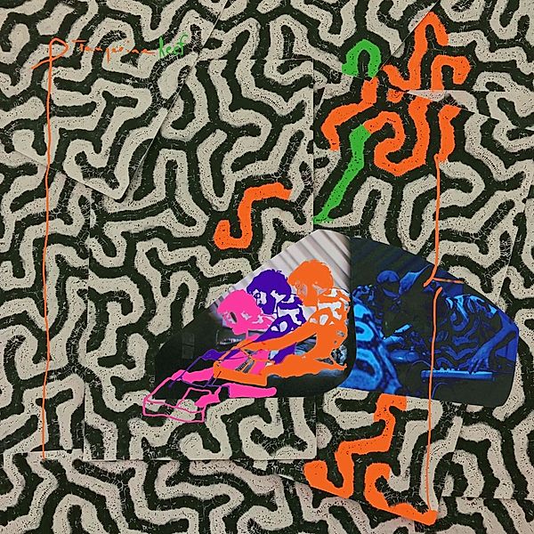 Tangerine Reef (2lp+Mp3) (Vinyl), Animal Collective