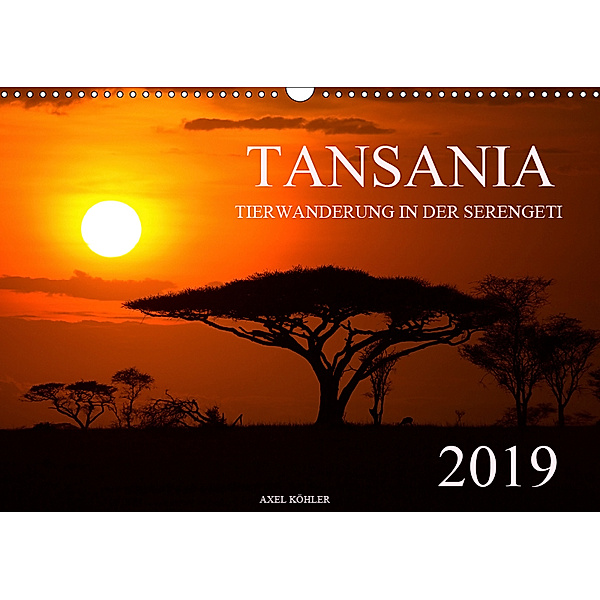 Tansania - Tierwanderung in der Serengeti (Wandkalender 2019 DIN A3 quer), Axel Köhler