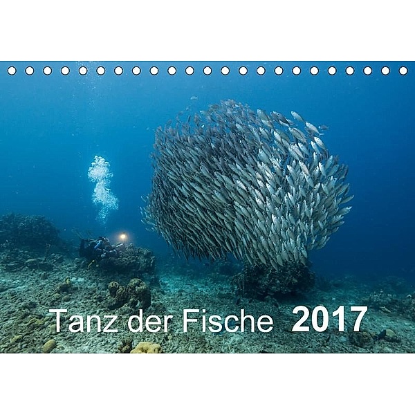 Tanz der Fische (Tischkalender 2017 DIN A5 quer), Naturepics