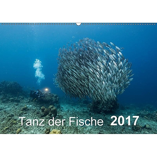Tanz der Fische (Wandkalender 2017 DIN A2 quer), naturepics