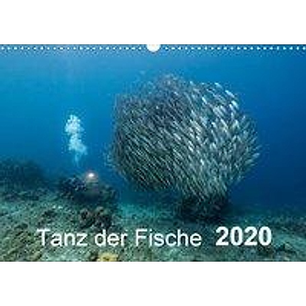 Tanz der Fische (Wandkalender 2020 DIN A3 quer), Yvonne Kühnast, Tilo Kühnast, Naturepics