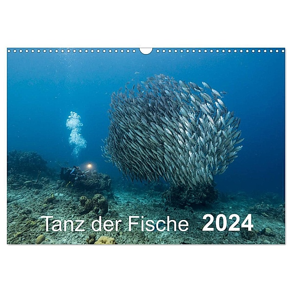 Tanz der Fische (Wandkalender 2024 DIN A3 quer), CALVENDO Monatskalender, Yvonne Kühnast