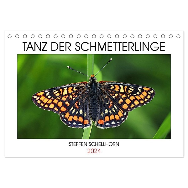 TANZ DER SCHMETTERLINGE (Tischkalender 2024 DIN A5 quer), CALVENDO Monatskalender, Steffen Schellhorn