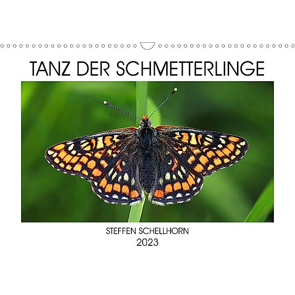 TANZ DER SCHMETTERLINGE (Wandkalender 2023 DIN A3 quer), Steffen Schellhorn