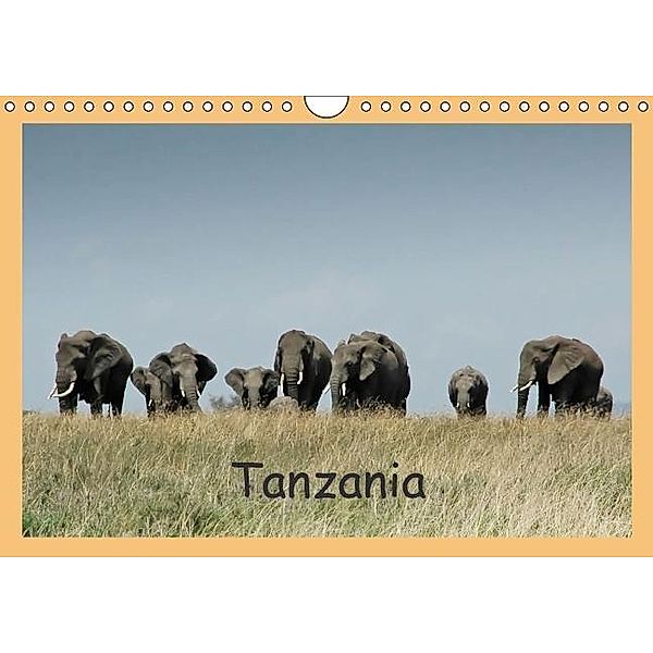 Tanzania (Wandkalender 2016 DIN A4 quer), Brigitte Dürr