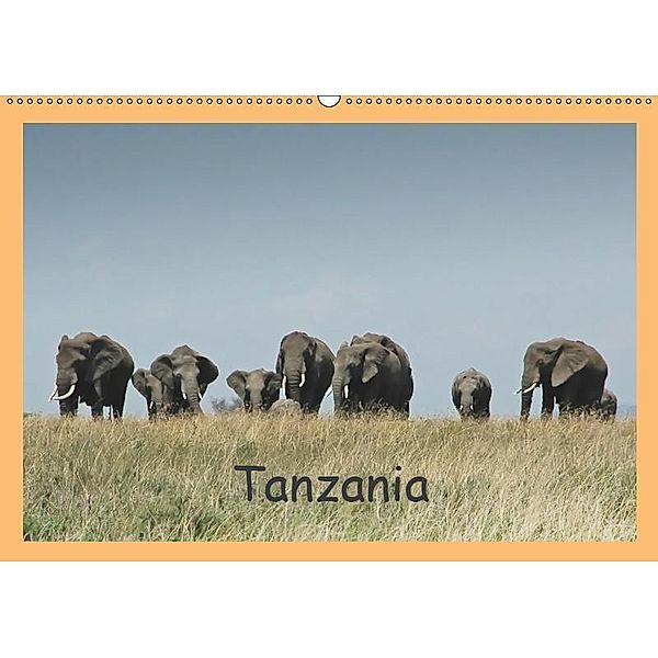 Tanzania (Wandkalender 2019 DIN A2 quer), Brigitte Dürr