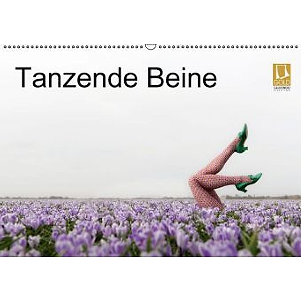 Tanzende Beine (Wandkalender 2016 DIN A2 quer), Gerhard Großberger