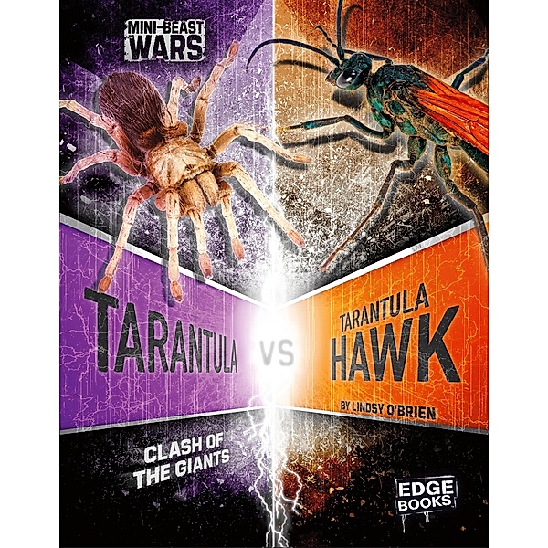 Tarantula vs Tarantula Hawk, Lindsy O'Brien