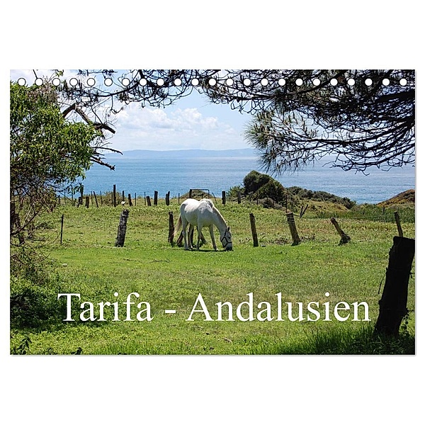 Tarifa - Andalusien (Tischkalender 2024 DIN A5 quer), CALVENDO Monatskalender, Martin Peitz