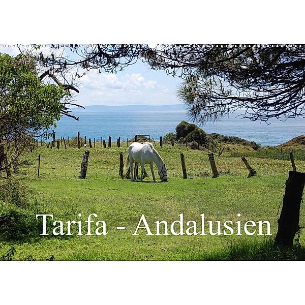 Tarifa - Andalusien (Wandkalender 2023 DIN A2 quer), Martin Peitz