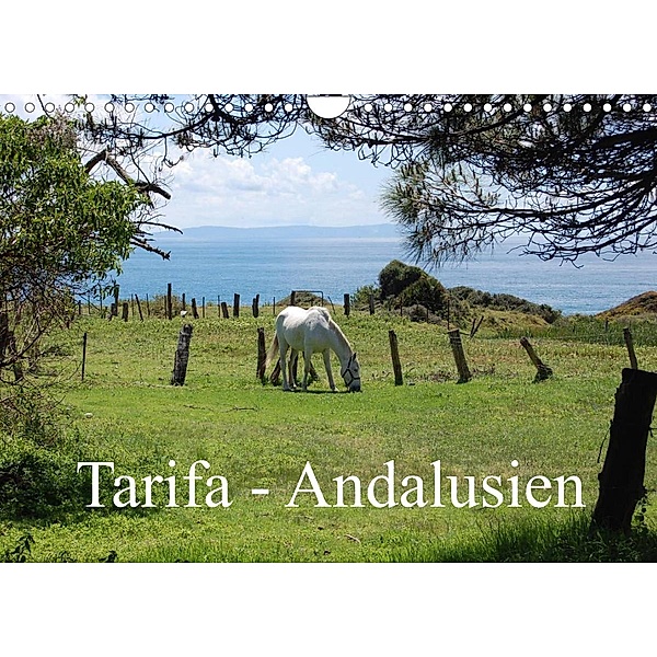Tarifa - Andalusien (Wandkalender 2023 DIN A4 quer), Martin Peitz
