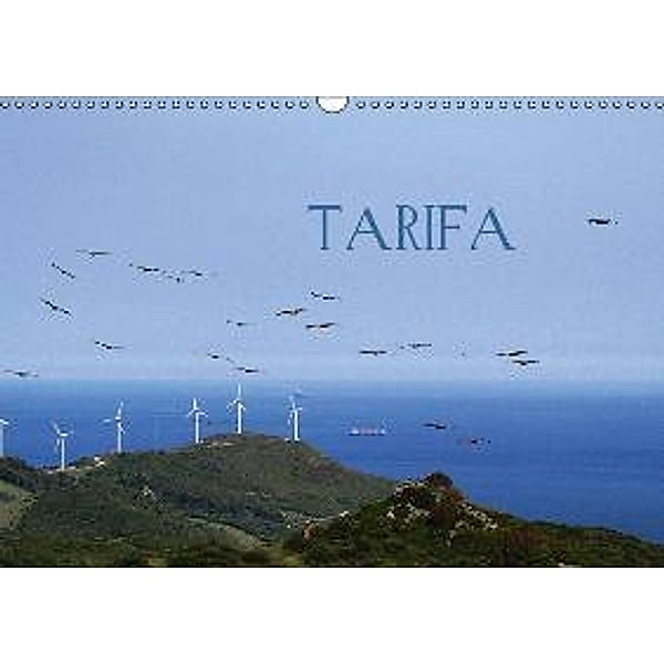 TARIFA CH-Version (Wandkalender 2016 DIN A3 quer), Daniel Schneeberger