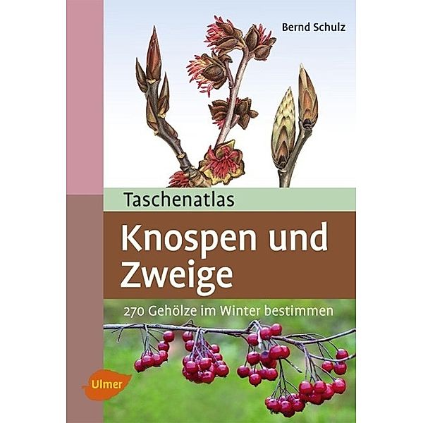 Taschenatlas Knospen und Zweige, Bernd Schulz