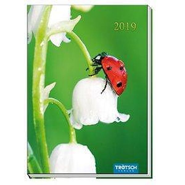 Taschenkalender 2019 Marienkäfer A6