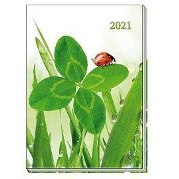 Taschenkalender 2021 Marienkäfer