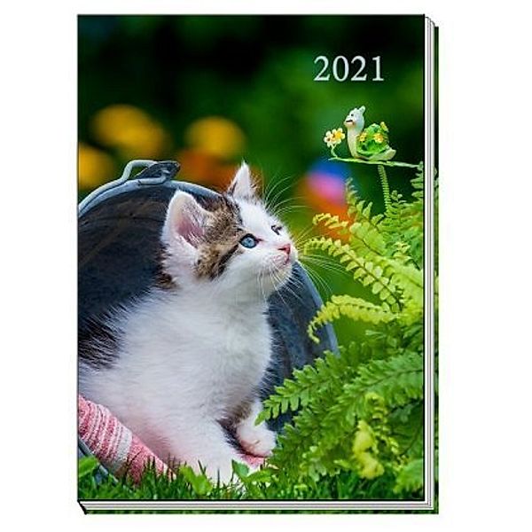 Taschenkalender A7 2021 Katze