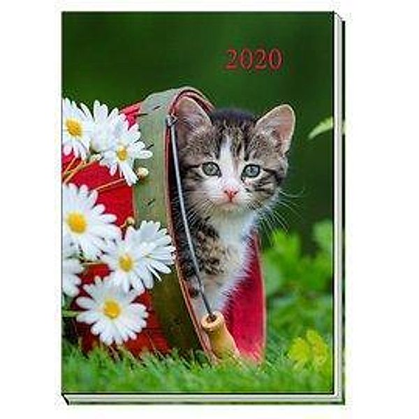 Taschenkalender Katze 2020