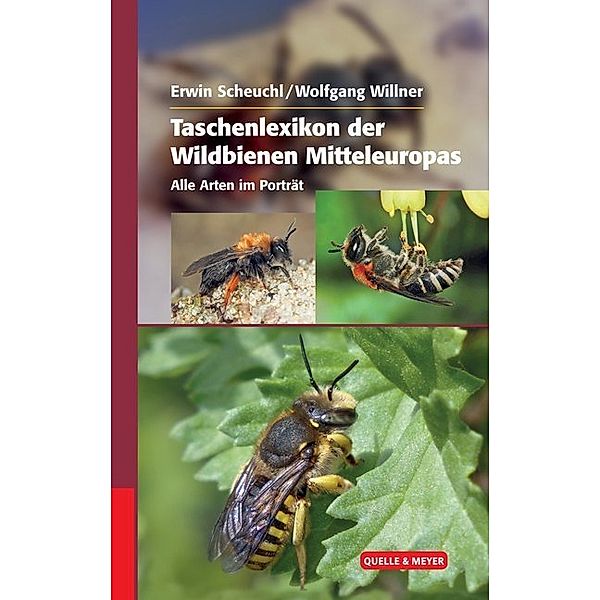 Taschenlexikon der Wildbienen Mitteleuropas, Erwin Scheuchl, Wolfgang Willner