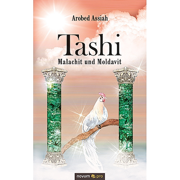 Tashi - Malachit und Moldavit, Arobed Assiah