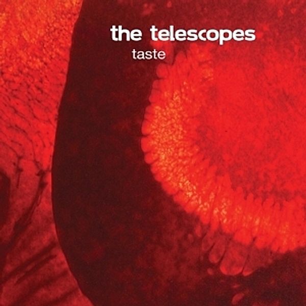 Taste+The Perfect Needle Ep, The Telescopes