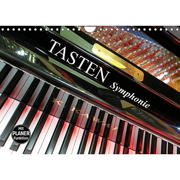 TASTEN Symphonie (Wandkalender 2023 DIN A4 quer), Renate Bleicher