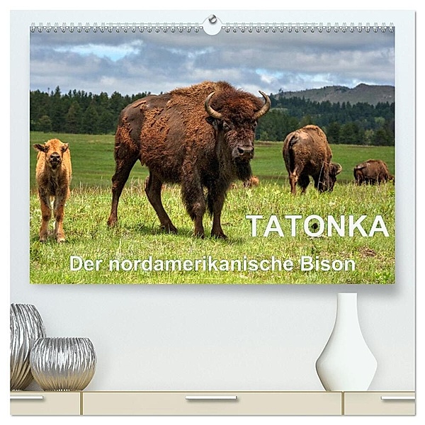TATONKA Der nordamerikanische Bison (hochwertiger Premium Wandkalender 2024 DIN A2 quer), Kunstdruck in Hochglanz, Dieter Wilczek