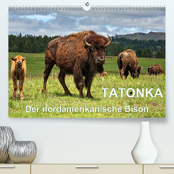 TATONKA Der nordamerikanische Bison (Premium, hochwertiger DIN A2 Wandkalender 2023, Kunstdruck in Hochglanz), Dieter Wilczek