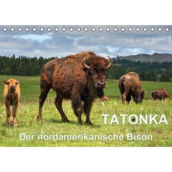 TATONKA Der nordamerikanische Bison (Tischkalender 2016 DIN A5 quer), Dieter-M. Wilczek