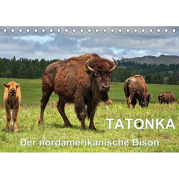 TATONKA Der nordamerikanische Bison (Tischkalender 2018 DIN A5 quer), Dieter-M. Wilczek