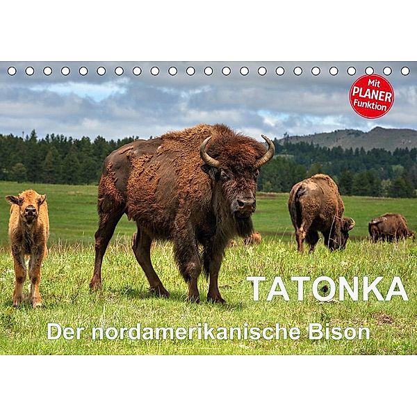 TATONKA Der nordamerikanische Bison (Tischkalender 2021 DIN A5 quer), Dieter-M. Wilczek