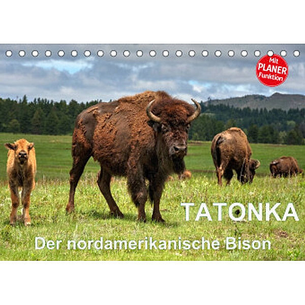 TATONKA Der nordamerikanische Bison (Tischkalender 2022 DIN A5 quer), Dieter-M. Wilczek