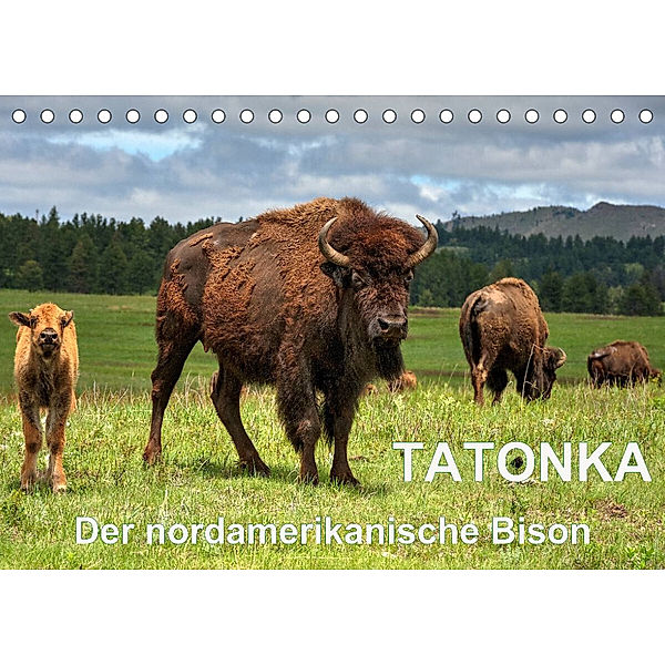 TATONKA Der nordamerikanische Bison (Tischkalender 2023 DIN A5 quer), Dieter Wilczek