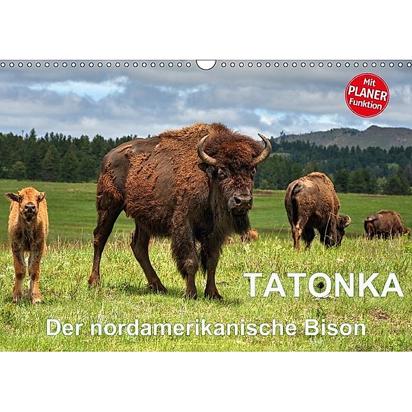 TATONKA Der nordamerikanische Bison (Wandkalender 2018 DIN A3 quer), Dieter-M. Wilczek