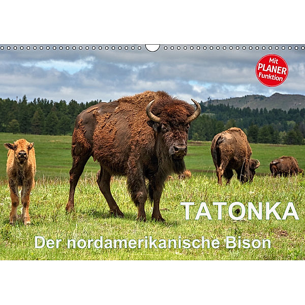 TATONKA Der nordamerikanische Bison (Wandkalender 2019 DIN A3 quer), Dieter-M. Wilczek