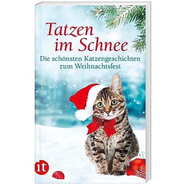 Tatzen im Schnee