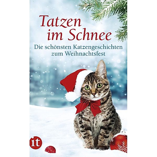 Tatzen im Schnee