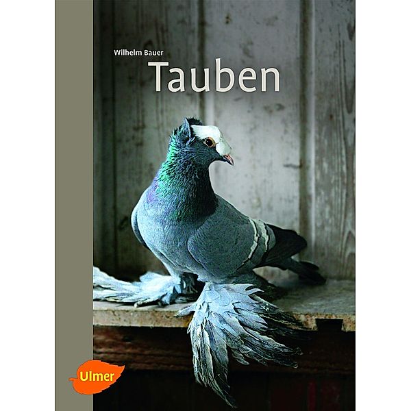 Tauben, Wilhelm Bauer