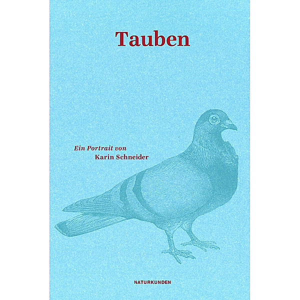 Tauben, Karin Schneider