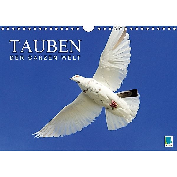 Tauben der ganzen Welt (Wandkalender 2018 DIN A4 quer), CALVENDO