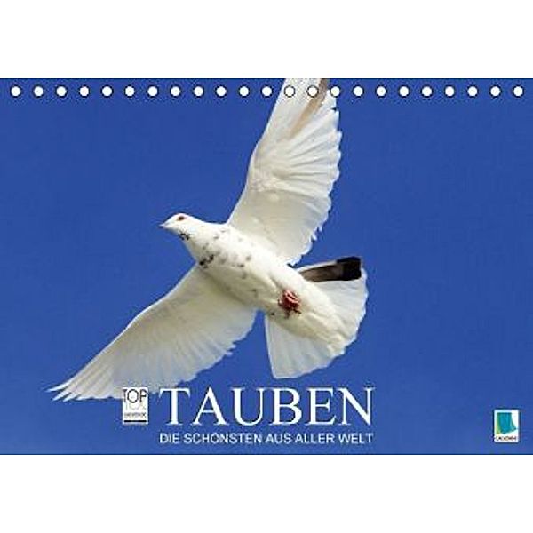 Tauben: die Schönsten aus aller Welt (Tischkalender 2016 DIN A5 quer), Calvendo