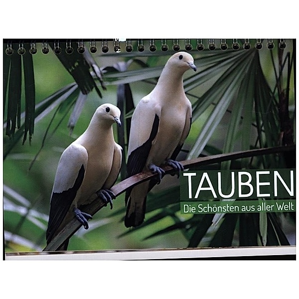 Tauben: die Schönsten aus aller Welt (Tischkalender 2023 DIN A5 quer), Calvendo