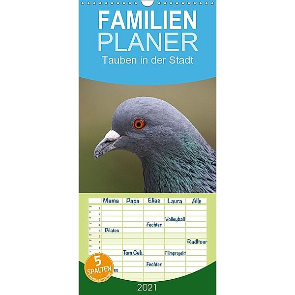 Tauben in der Stadt - Familienplaner hoch (Wandkalender 2021 , 21 cm x 45 cm, hoch), Kattobello