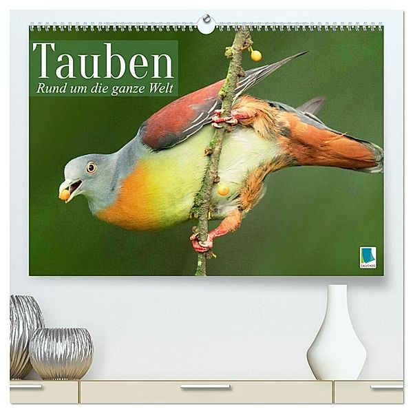 Tauben rund um die ganze Welt (hochwertiger Premium Wandkalender 2024 DIN A2 quer), Kunstdruck in Hochglanz, Calvendo