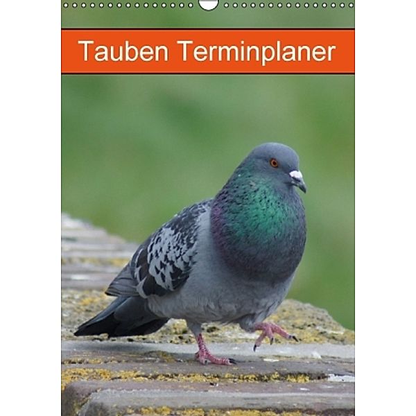 Tauben Terminplaner (Wandkalender 2016 DIN A3 hoch), Kattobello