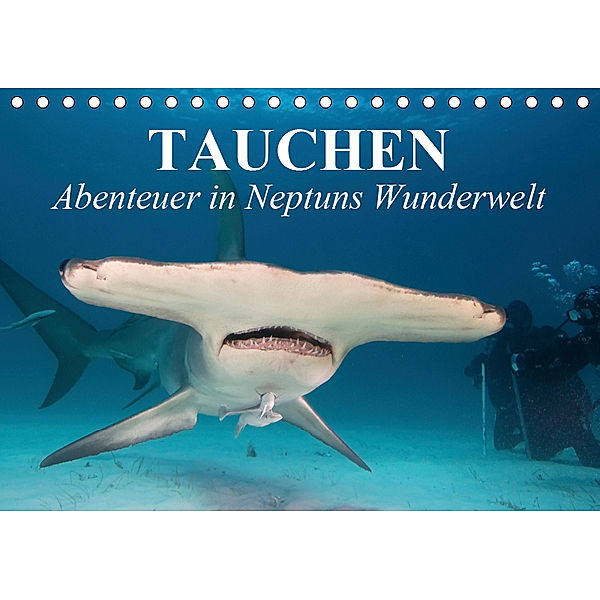 Tauchen - Abenteuer in Neptuns Wunderwelt (Tischkalender 2019 DIN A5 quer), Elisabeth Stanzer