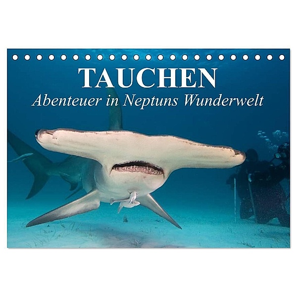 Tauchen - Abenteuer in Neptuns Wunderwelt (Tischkalender 2024 DIN A5 quer), CALVENDO Monatskalender, Elisabeth Stanzer