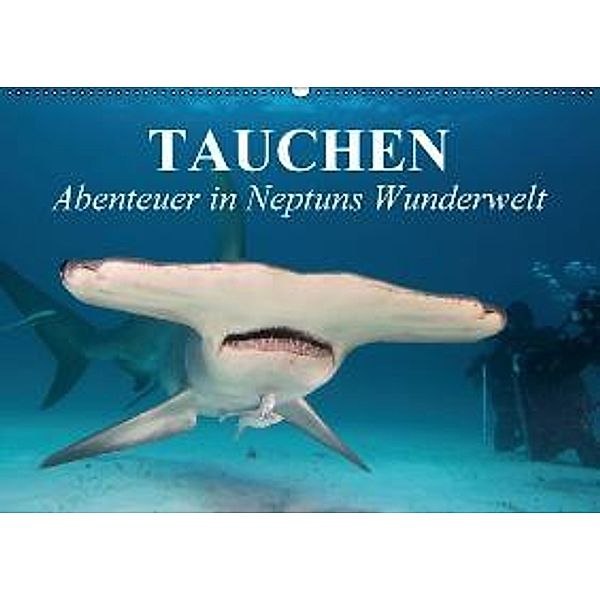 Tauchen Abenteuer in Neptuns Wunderwelt (Wandkalender 2015 DIN A2 quer), Elisabeth Stanzer