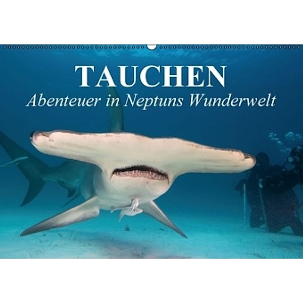 Tauchen - Abenteuer in Neptuns Wunderwelt (Wandkalender 2016 DIN A2 quer), Elisabeth Stanzer