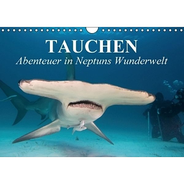 Tauchen - Abenteuer in Neptuns Wunderwelt (Wandkalender 2016 DIN A4 quer), Elisabeth Stanzer